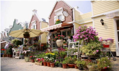 深圳免費(fèi)景點(diǎn)推薦 探索花卉之美，擁抱自然芬芳