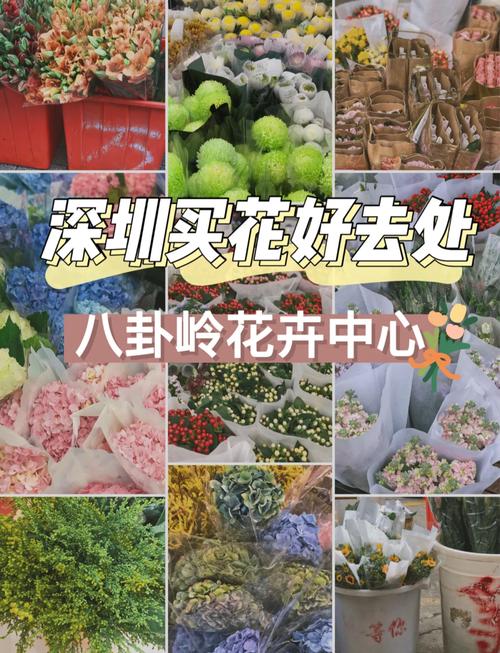 深圳買花攻略 從大型市場到社區花店，尋香覓色全指南