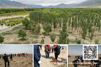 守護生命奇跡 奇瑞汽車攜手公益行動推動普氏野馬與雙峰野駱駝保護及資源再生技術研發(fā)