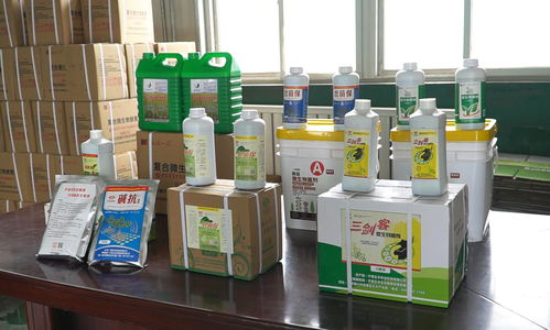 秸稈資源化利用技術 助力構建寧夏現代循環農業模式的關鍵引擎