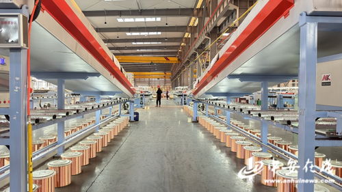 感受安徽智造魅力 資源再生利用技術研發的創新之路